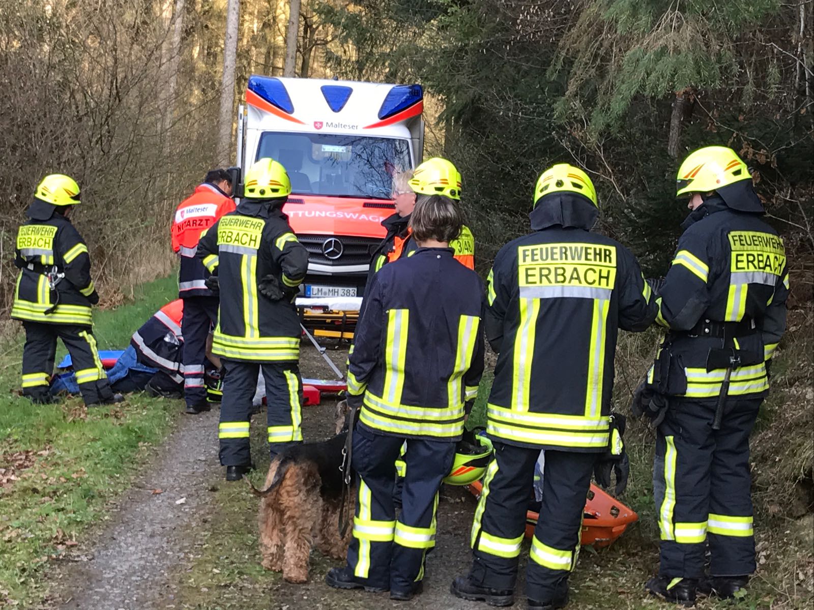 » Spaziergängerin + Hund geholfen Freiwillige Feuerwehr Erbach